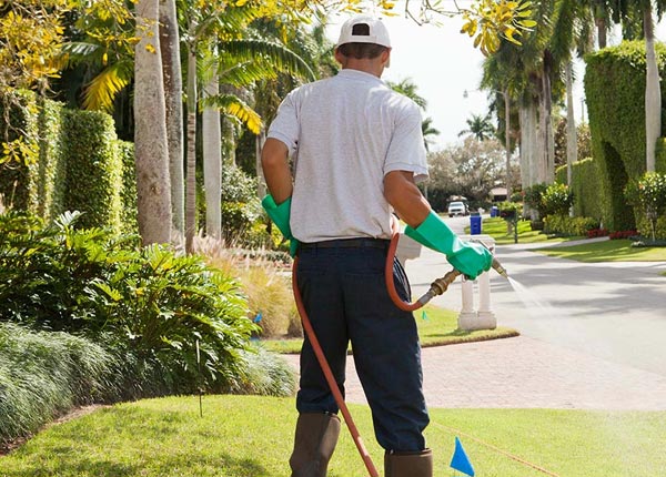 About Newborn GA Pest Control Pros